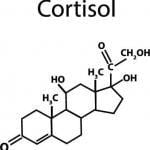 The chemical make up of cortisol