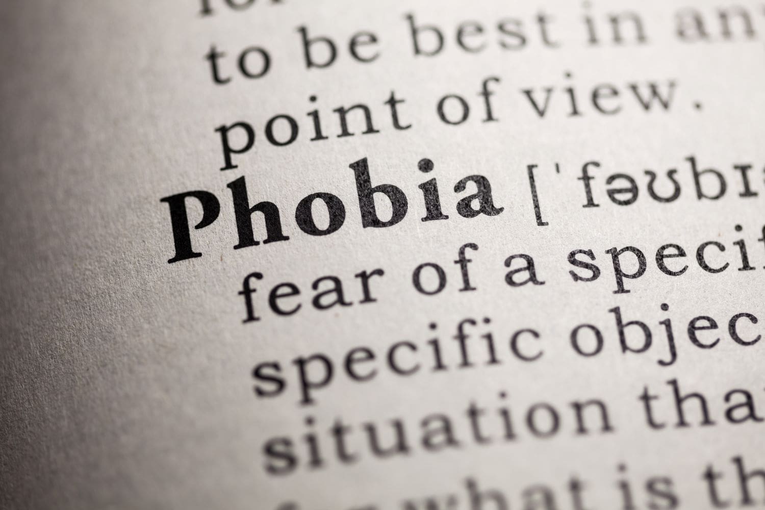 A page showing the definition of phobia