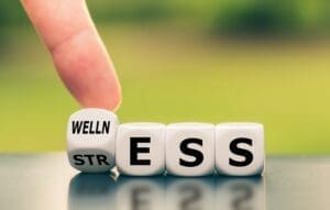 Wellness from a balanced life