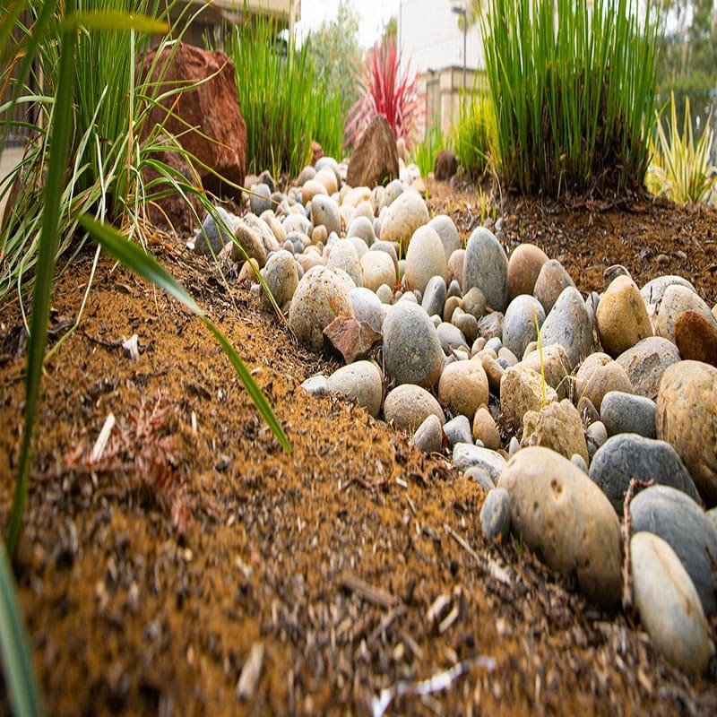Exterior garden of the offices of Ginny Estupinian PhD Los Gatos Psychologist